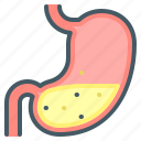 organ, stomach