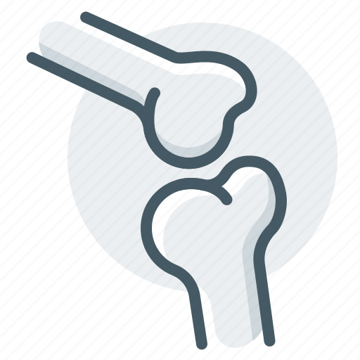 Bone, joint, knee icon - Download on Iconfinder