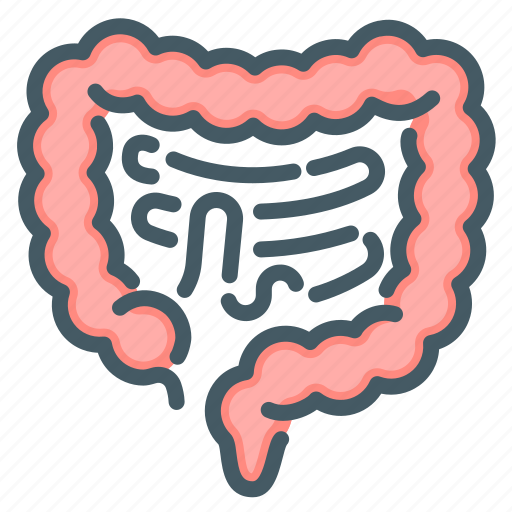 Bowel, colon, digestive, gastroenterology, organ icon - Download on Iconfinder