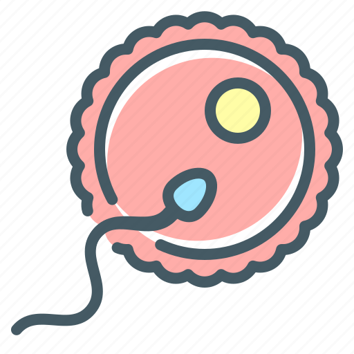 Cell, ovum, gamete, egg, conceiving, sperm icon - Download on Iconfinder