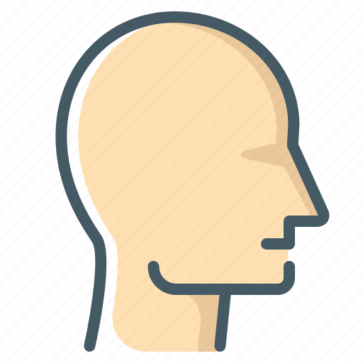 Head, face, profile icon - Download on Iconfinder