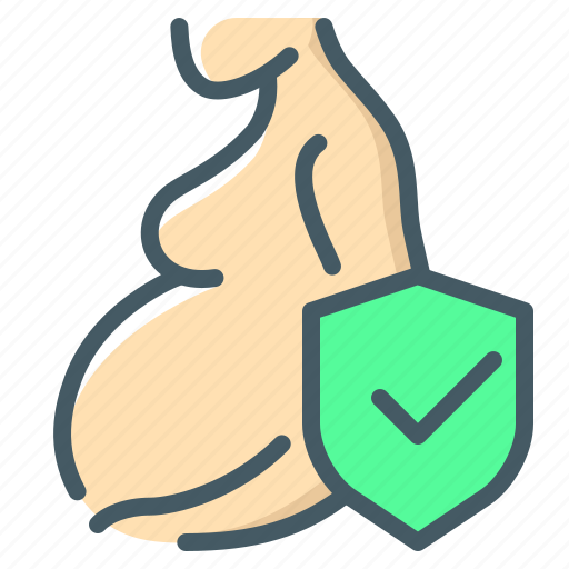 Insurance, pregnancy, pregnant, protection, woman icon - Download on Iconfinder
