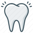 tooth, dentistry