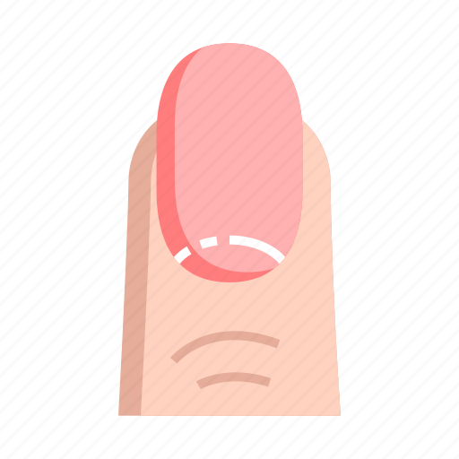 Anatomy, finger, nail icon - Download on Iconfinder