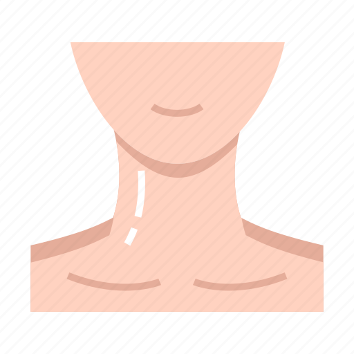Anatomy, body, neck icon - Download on Iconfinder