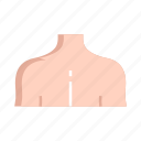 anatomy, body, shoulder