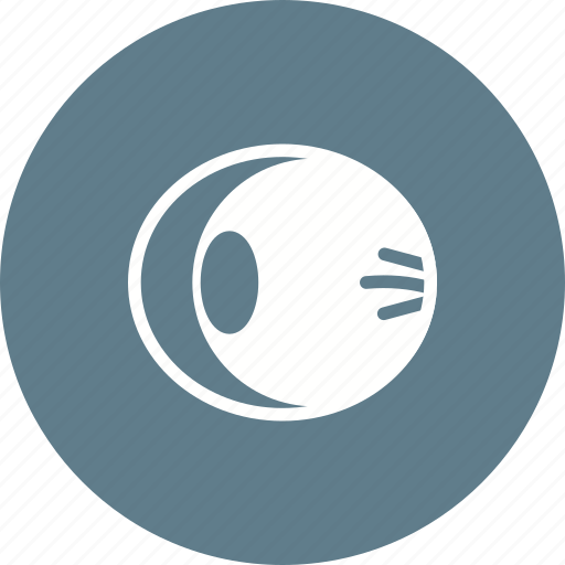 Human, macula, nerve, optic, retina, sight, vision icon - Download on Iconfinder