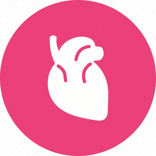Blood, body, heart, human, medical, muscle, organ icon - Download on Iconfinder