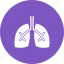 breathe, bronchi, chest, healthy, lungs, pulmonary, respiration 