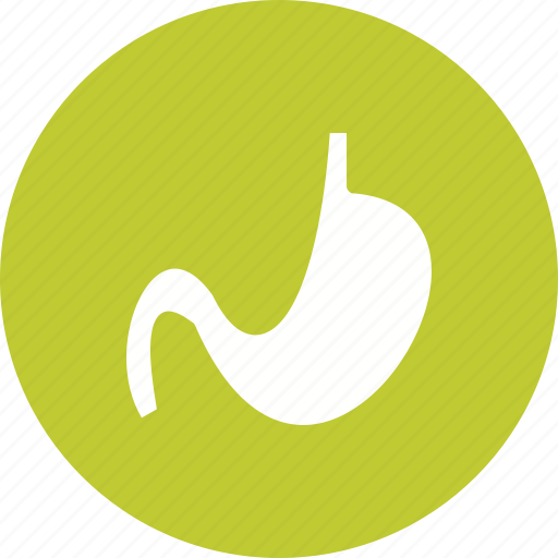Constipation, digestion, human, medical, organ, pain, stomach icon - Download on Iconfinder