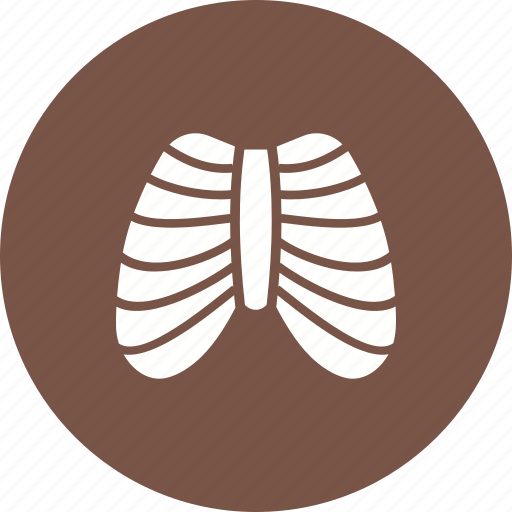 Body, health, human, ribcage, shape, system icon - Download on Iconfinder