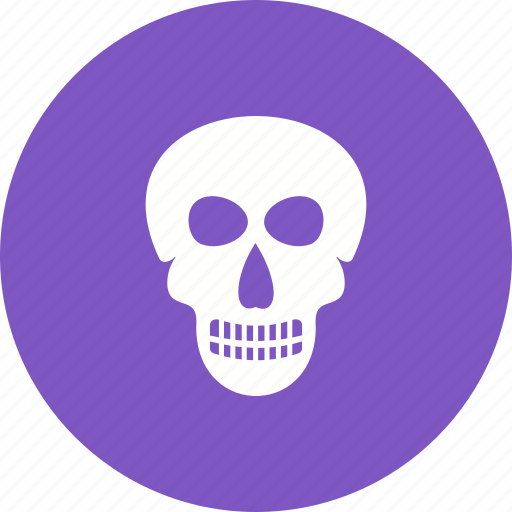 Face, head, human, medical, skeleton, skull icon - Download on Iconfinder