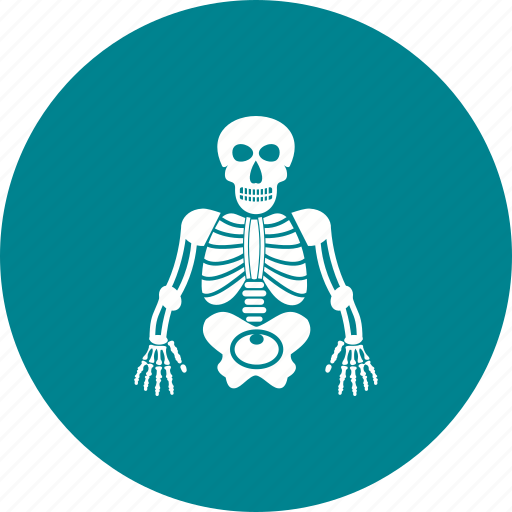 Anatomy, body, human, medical, skeleton, skull icon - Download on Iconfinder
