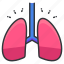 body, breathe, human, lung, lungs, organ 