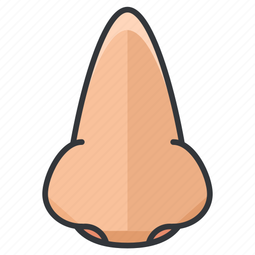 Anatomy, body, human, nose, smell icon - Download on Iconfinder