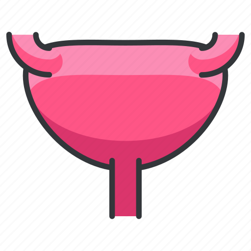 Body, female, human, organ, reproduction, uterus icon - Download on Iconfinder