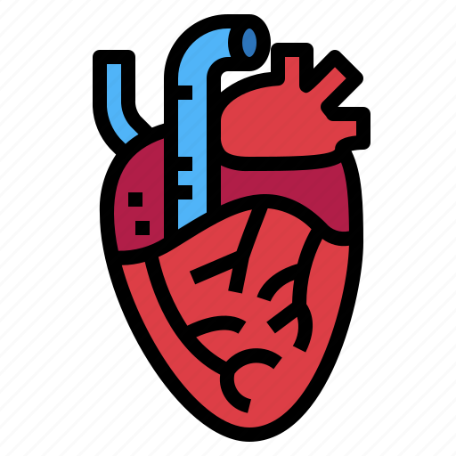 Heart, human, medical, organ icon - Download on Iconfinder