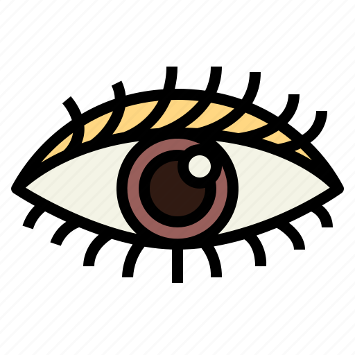 Eye, eyeball, ophthalmology, visible icon - Download on Iconfinder