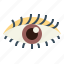 eye, eyeball, ophthalmology, visible 