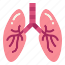breath, lung, medical, organ