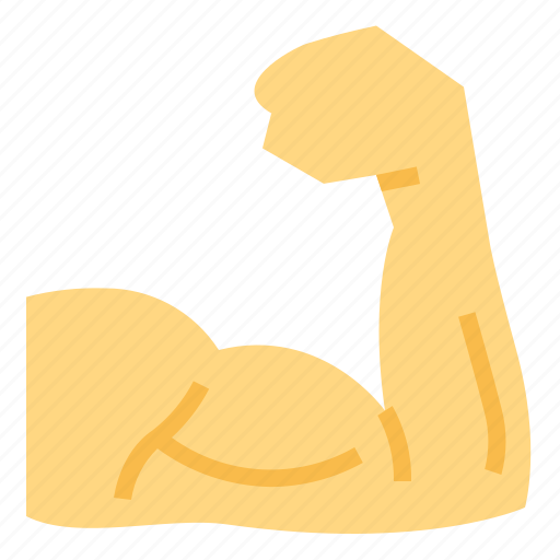 Biceps, body, muscle, part, strong icon - Download on Iconfinder