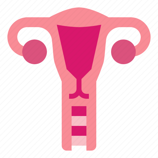Female, medical, organs, ovary, uterus icon - Download on Iconfinder