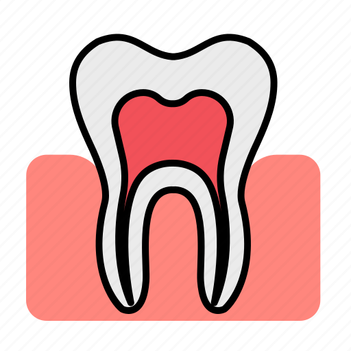 Dental, dentist, dentistry, denture, gums, tooth, teeth icon - Download on Iconfinder