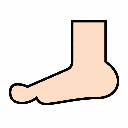 Anatomy, body, foot, leg, medical, organs, ankle icon - Download on Iconfinder