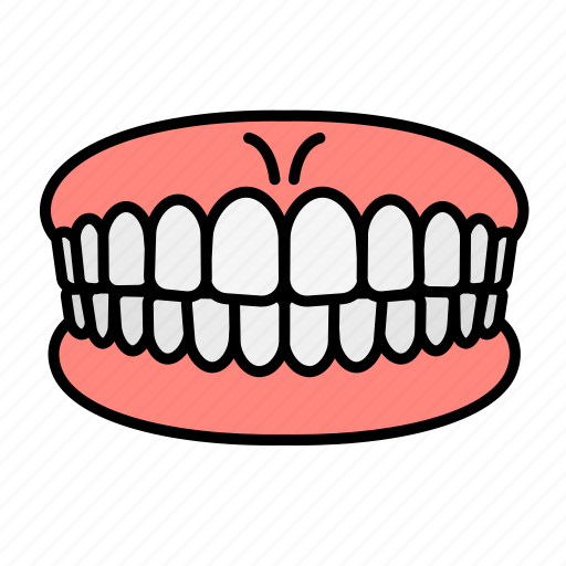Dental, dentist, dentistry, denture, gums, tooth, teeth icon - Download on Iconfinder