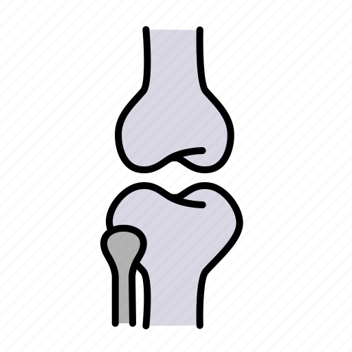 Joint, knee, orthopedic, anatomy, bone, leg, bones icon - Download on Iconfinder