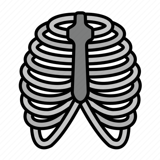 Bones, cage, human, rib, rib cage, skeleton, thorax icon - Download on Iconfinder