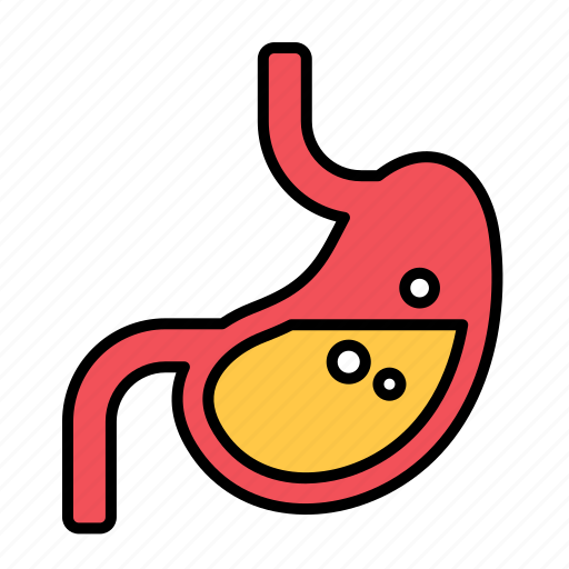 Digestion, gastroenterology, stomach, anatomy, digest, organ icon - Download on Iconfinder