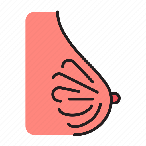 Anatomy, boobs, breast, tit, body, female, organ icon - Download on Iconfinder