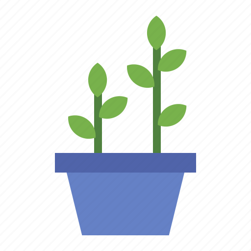 Plant, leaves, indoor, hygge, potted plant icon - Download on Iconfinder