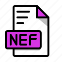 nef, format, picture, file, extension, file type, type