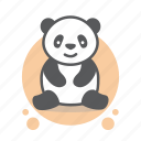 image, animal, pets, and, panda