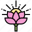 flower, india, lotus, plant 