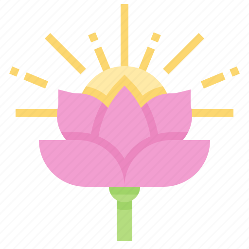 Flower, india, lotus, plant icon - Download on Iconfinder