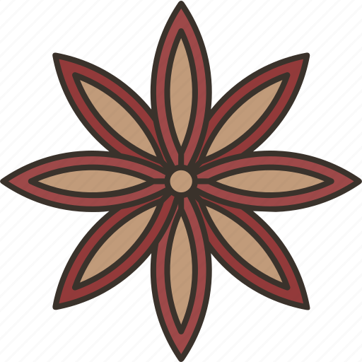 Anise, food, herb, star, spice icon - Download on Iconfinder