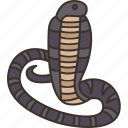 cobra, snake, animal, viper, venom