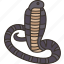 cobra, snake, animal, viper, venom 