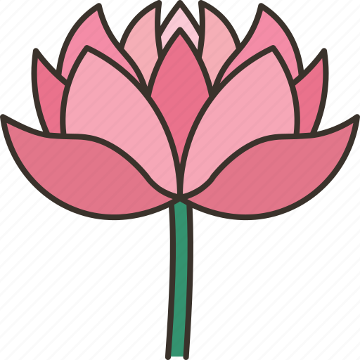 Lotus, flower, water, flora, plant icon - Download on Iconfinder
