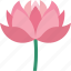 lotus, flower, water, flora, plant 