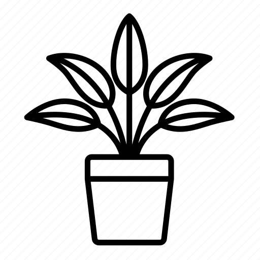 Aglaonema, plant, indoor plant icon - Download on Iconfinder