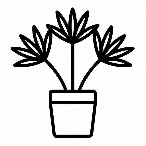 Lady palm, plant, indoor plant icon - Download on Iconfinder