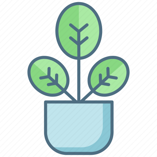 Baby, rubber, plant icon - Download on Iconfinder