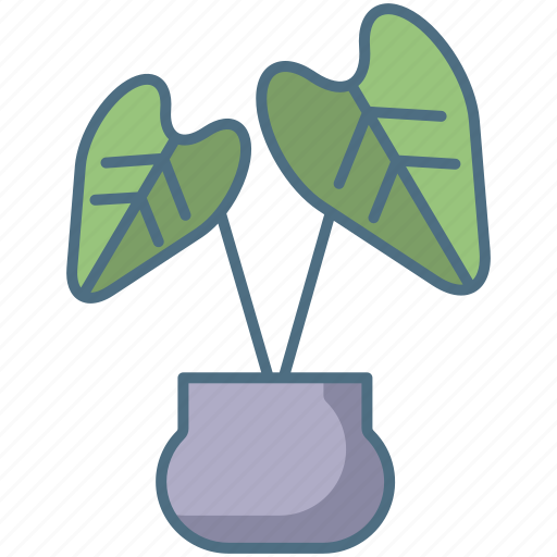 Baby, rubber, plant, copy icon - Download on Iconfinder