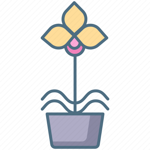 Moth, orchid icon - Download on Iconfinder on Iconfinder