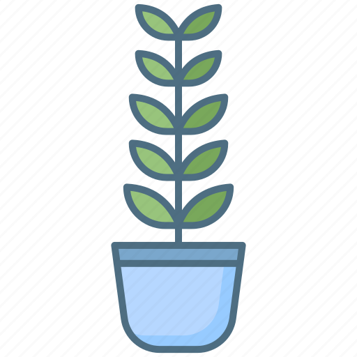 Zz, plant icon - Download on Iconfinder on Iconfinder