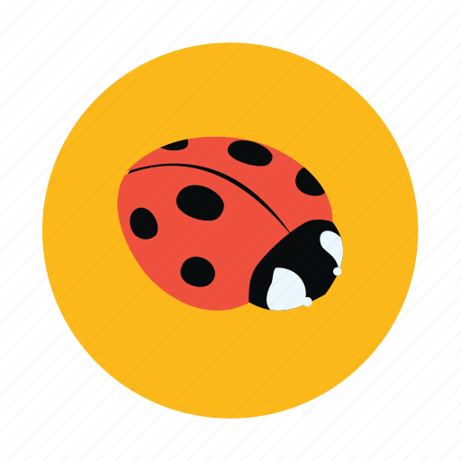 Insect, ladybird icon - Download on Iconfinder on Iconfinder